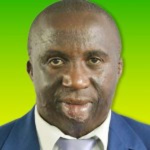 HON-JUSTUS-GAITA-MCA-KIRIITA-WARD-150x150